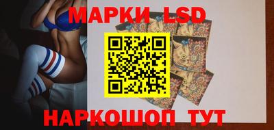 Альфа ПВП Новодвинск