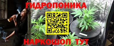 гашик Новозыбков