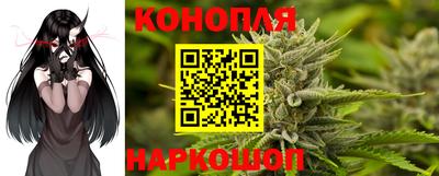 гашик Новозыбков