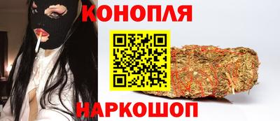 гашик Новозыбков