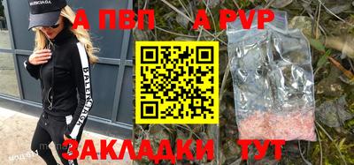 гашик Новозыбков