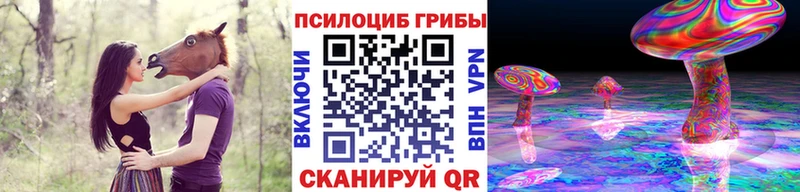 Купить где  Туймазы  Галлюциногенные грибы прущие грибы 