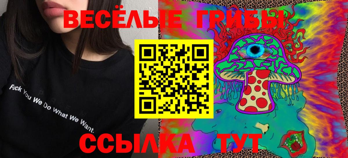 Псилоцибиновые грибы Cubensis  Галлюциногенные грибы прущие грибы  Туймазы 